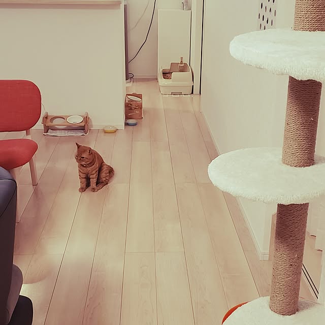 asahinaさんの部屋