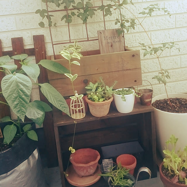 kuremaさんの実例写真