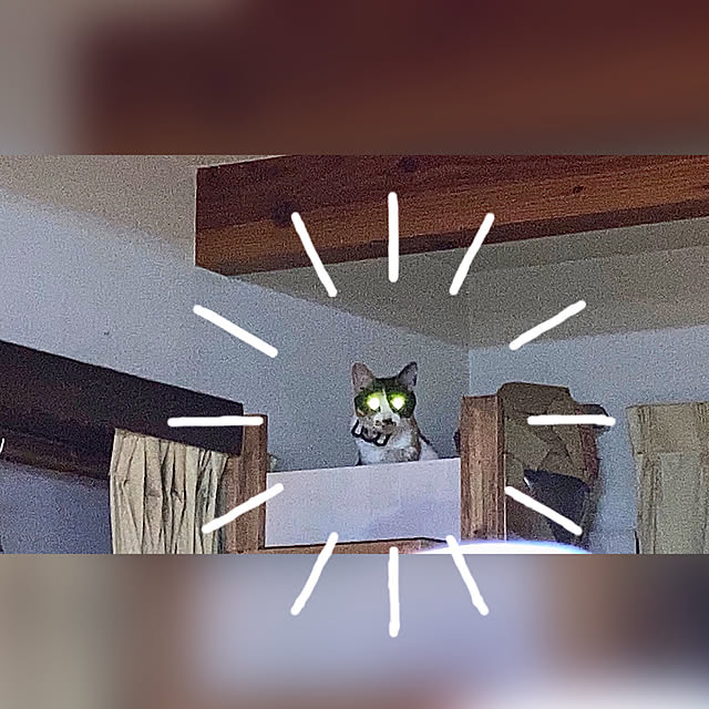 maroさんの実例写真