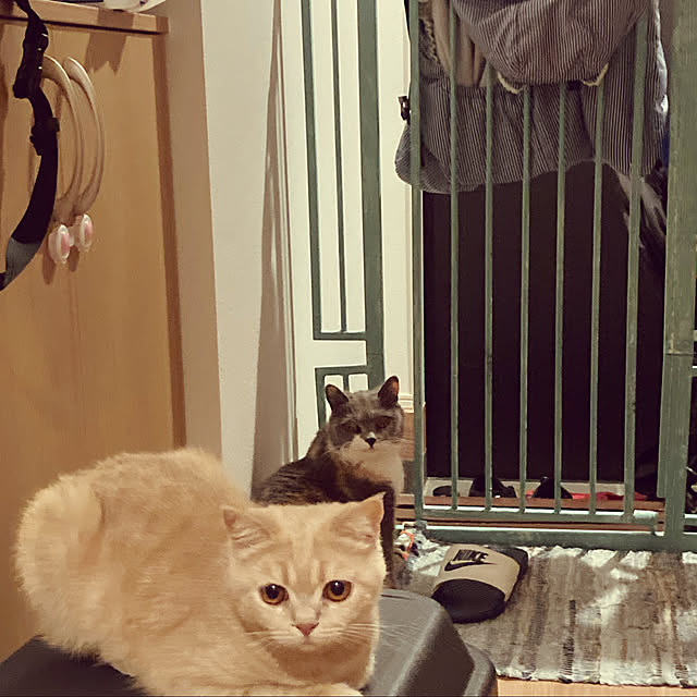 nonoさんの実例写真