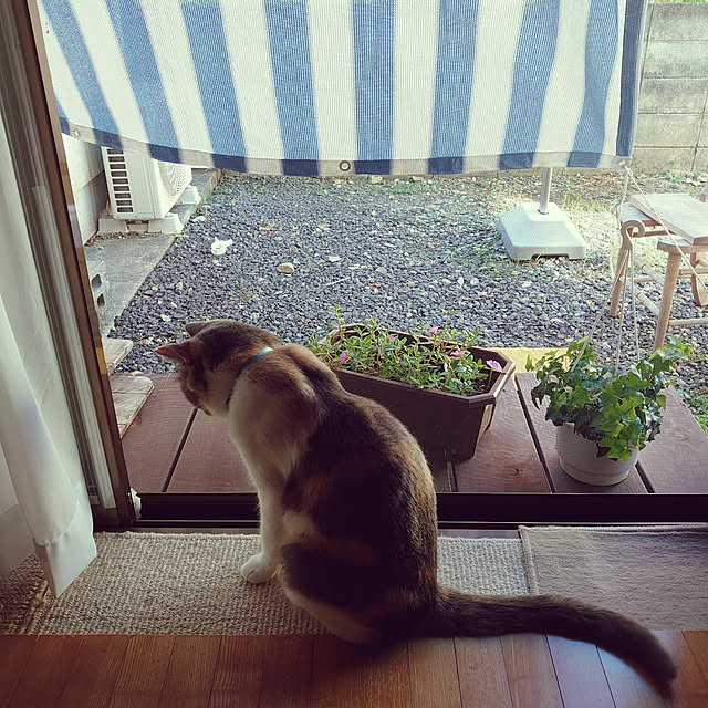 fukuさんの実例写真