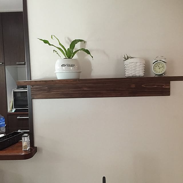 キッチン/DIY/100均/観葉植物のインテリア実例 - 2016-07-23 22:25:19