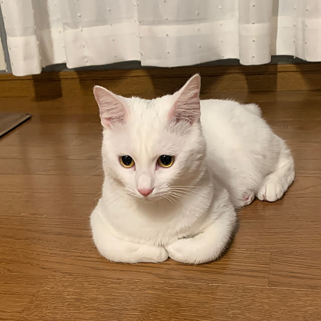 keiさんの実例写真