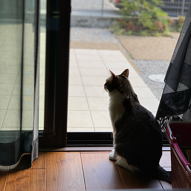 Rubyさんの実例写真