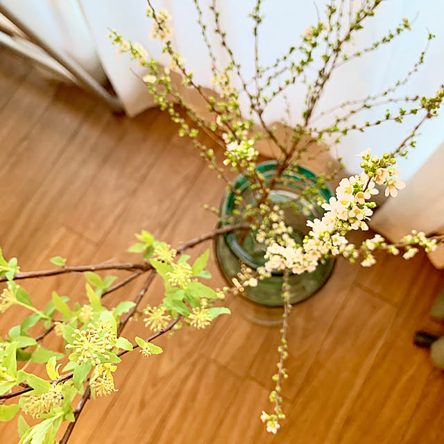 yasuyo66さんの実例写真