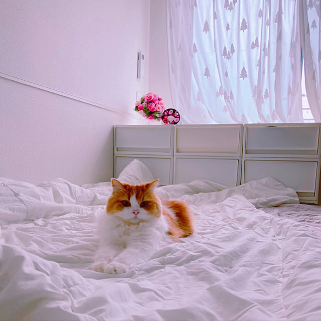 H.Tさんの実例写真