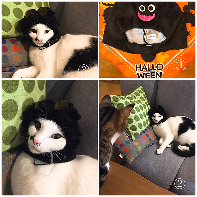 nobikoさんの実例写真