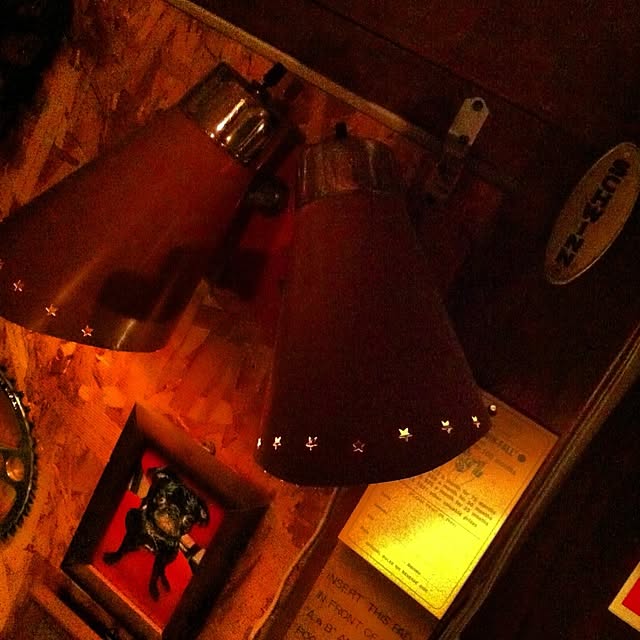 9685kotubuさんの実例写真