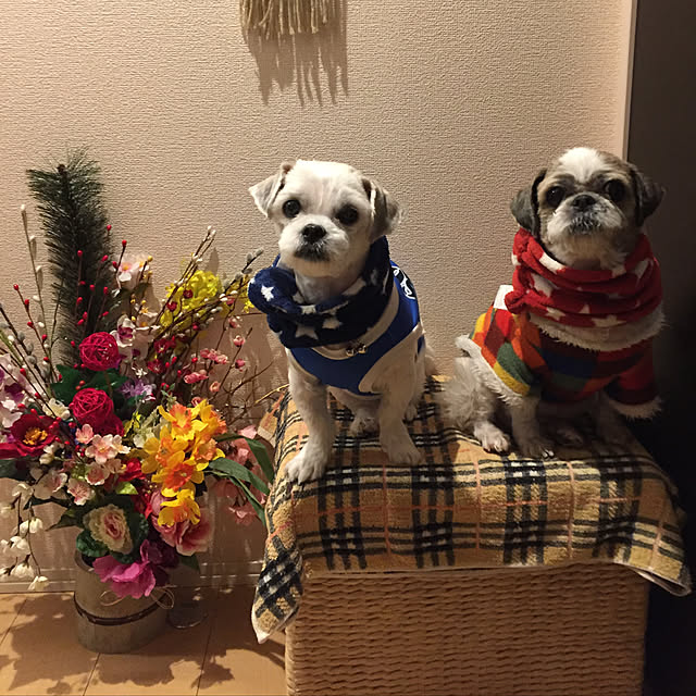emiさんの実例写真