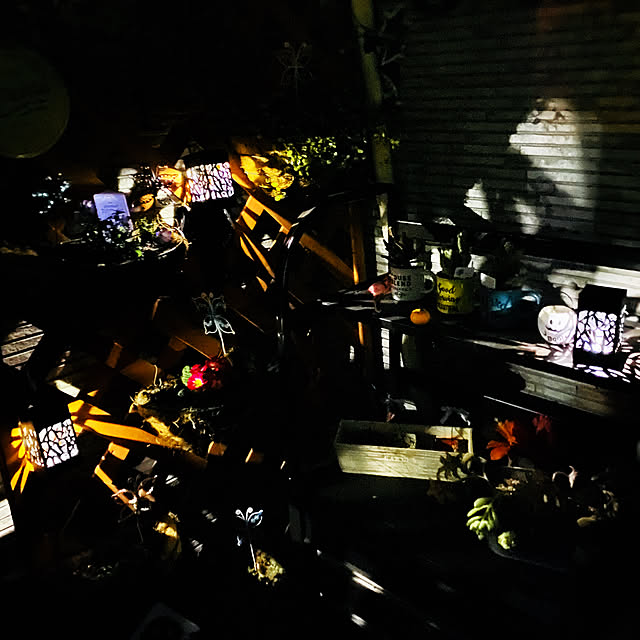 uki-uki77さんの実例写真