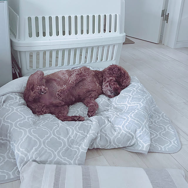 home_44さんの実例写真