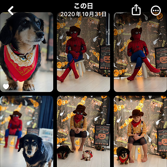 実例写真