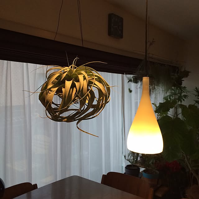 masamixさんの実例写真