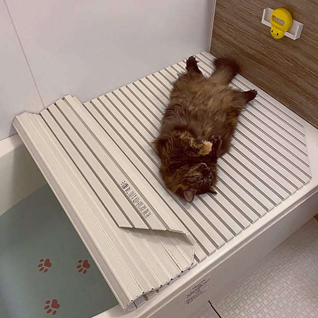 mikomaruさんの実例写真