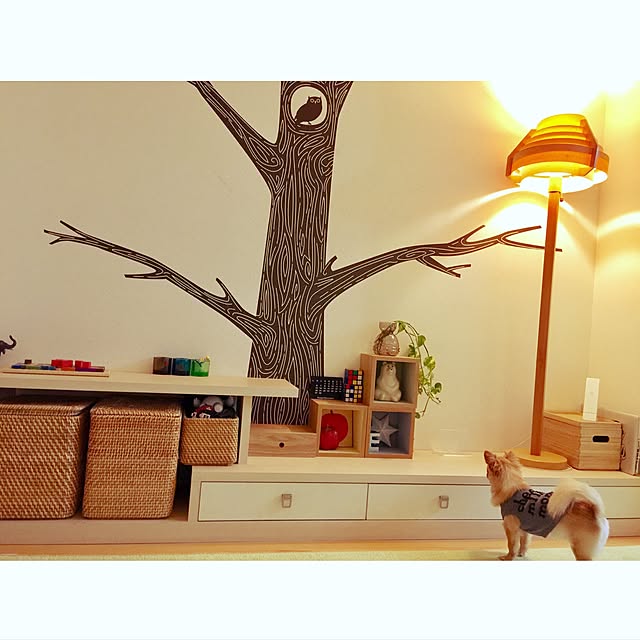 haruhinaさんの実例写真