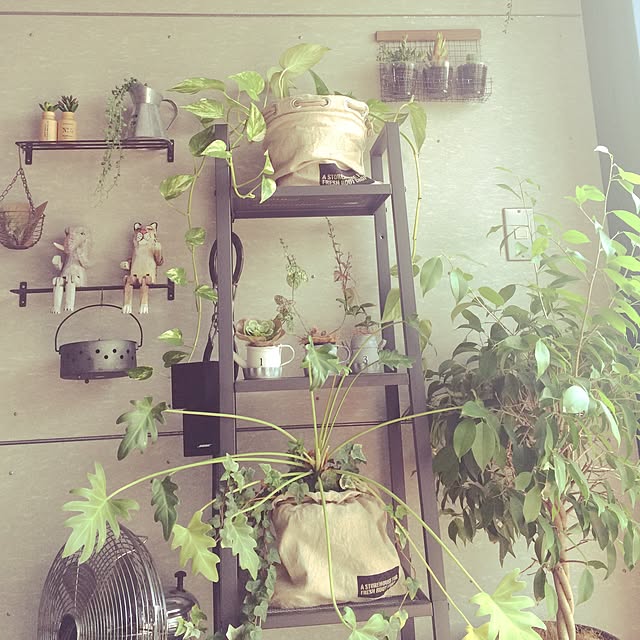 noritamahouseさんの実例写真