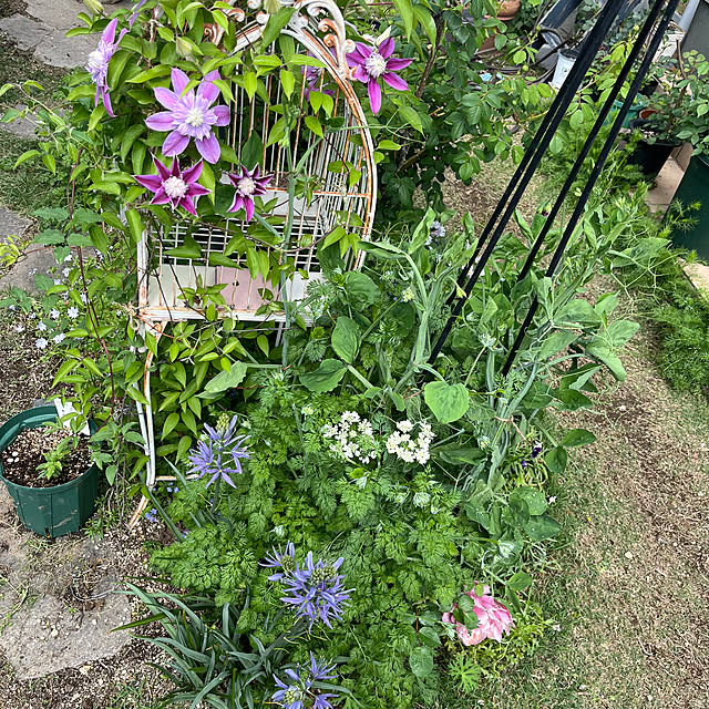 rokokoさんの部屋