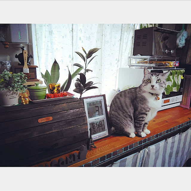 mntcさんの実例写真