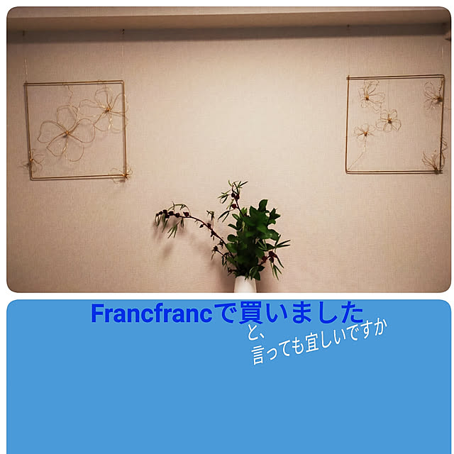 AKIRAさんの実例写真