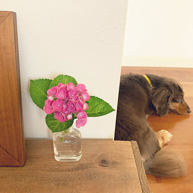 mimosaさんの実例写真