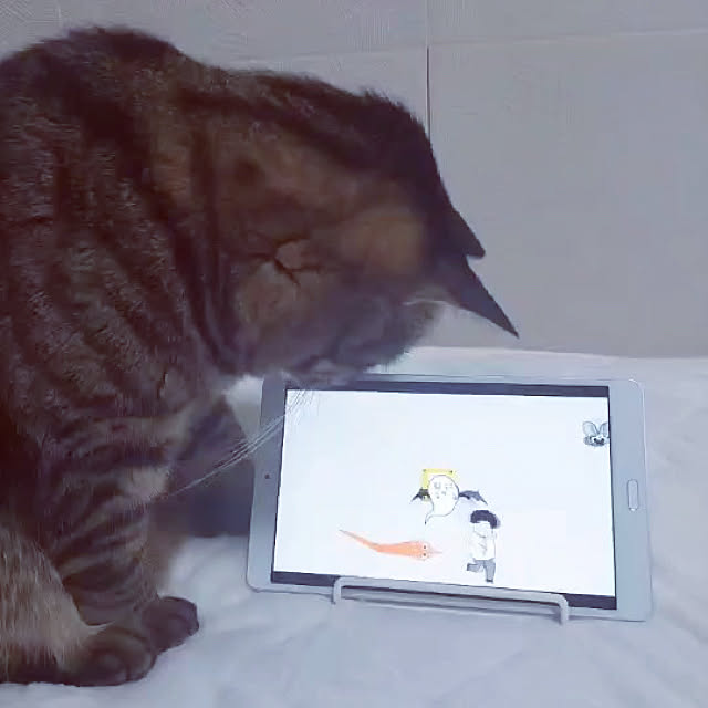 kumako0147さんの実例写真