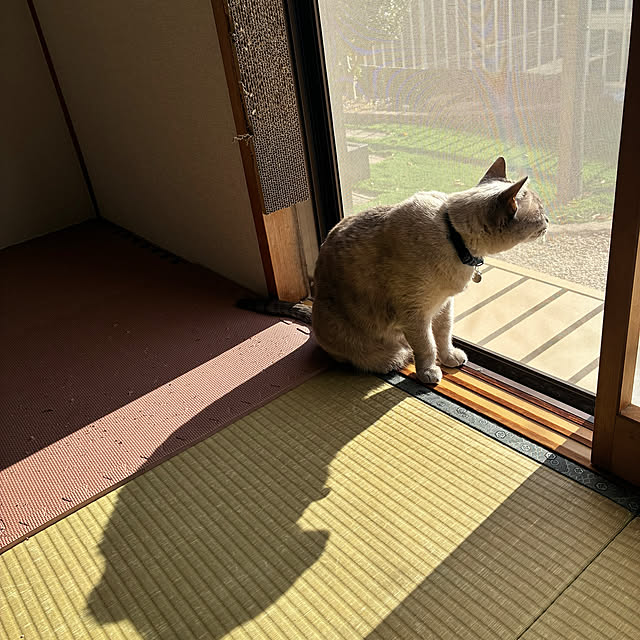 zumayanさんの実例写真