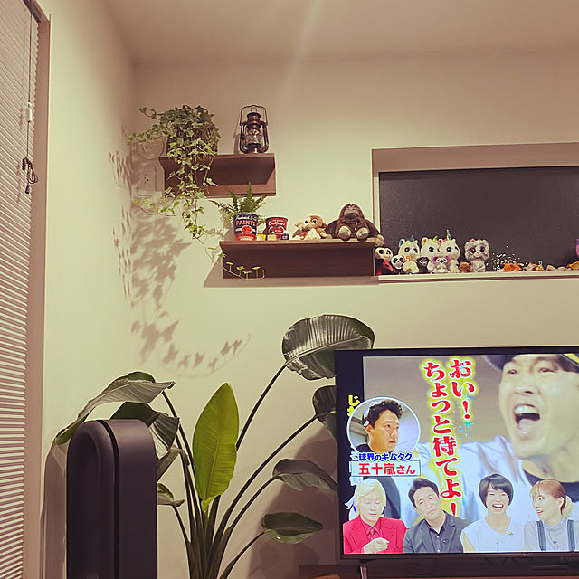 moainanoさんの実例写真