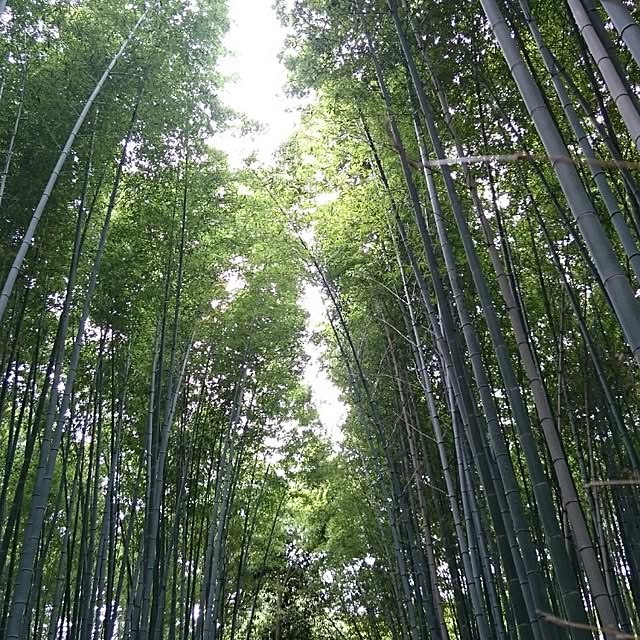 runaさんの実例写真