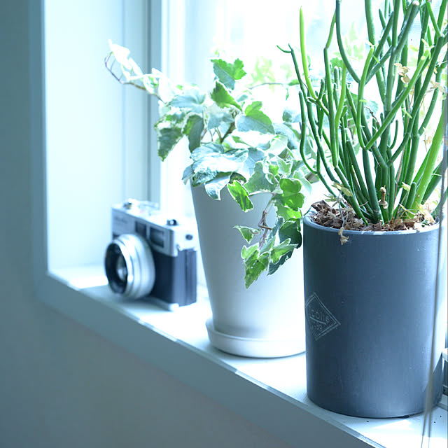 nico_home_igさんの実例写真