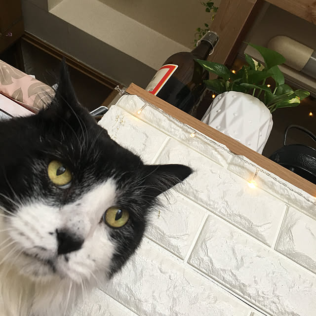 kanaさんの実例写真