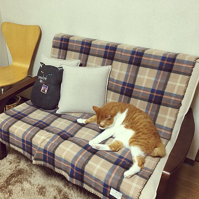 knekghrkktさんの実例写真