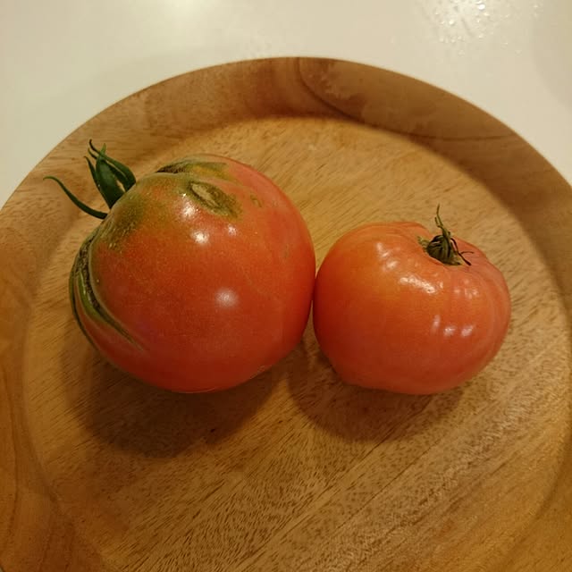 maotamayさんの実例写真