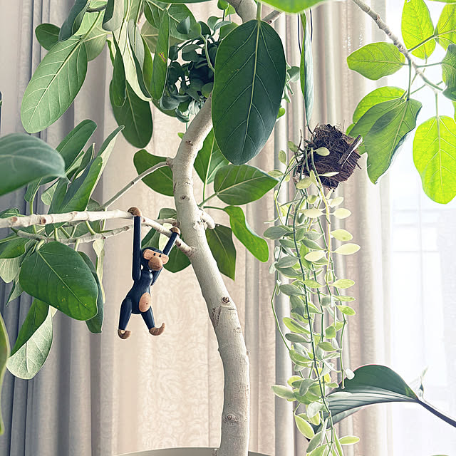 carocaroさんの実例写真