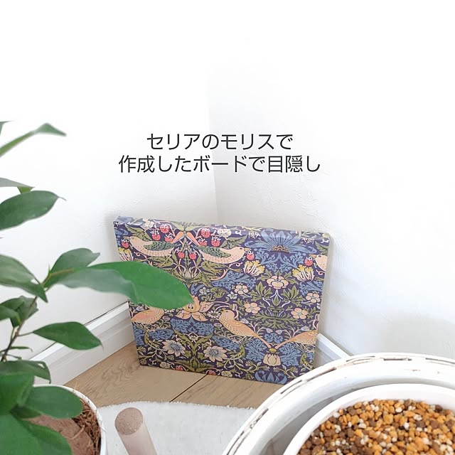 yamamaさんの部屋