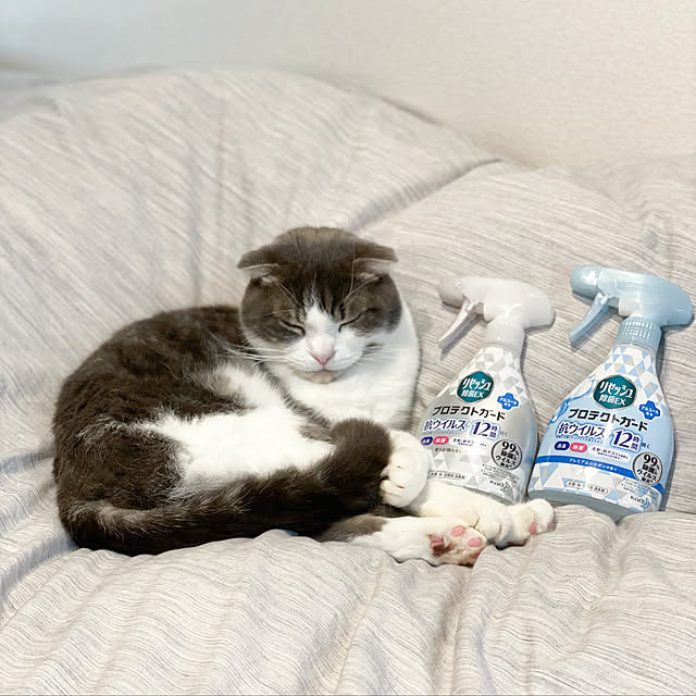 tansukeさんの実例写真
