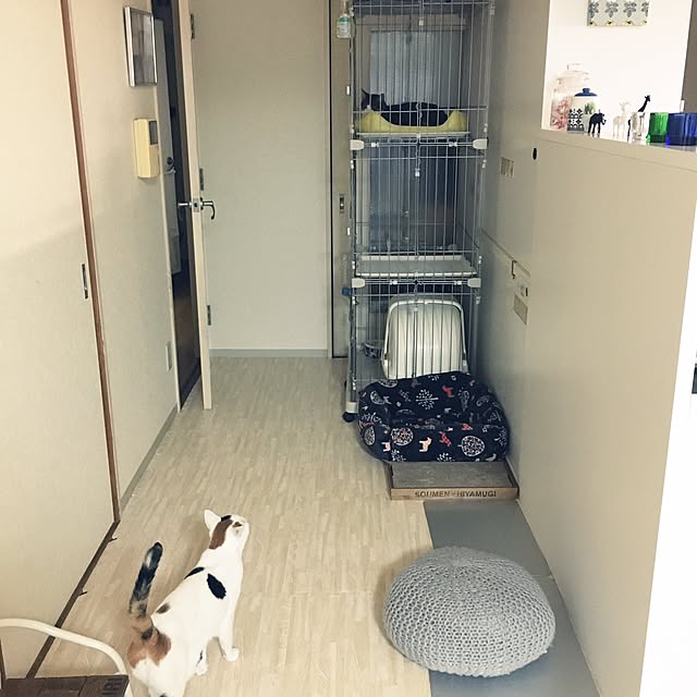ichi.さんの実例写真