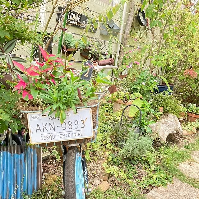 min_nimさんの部屋