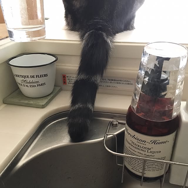 mikomaruさんの実例写真