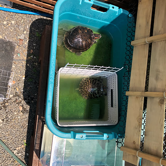tamuさんの実例写真