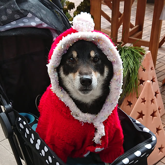 tsutawarimasuさんの実例写真