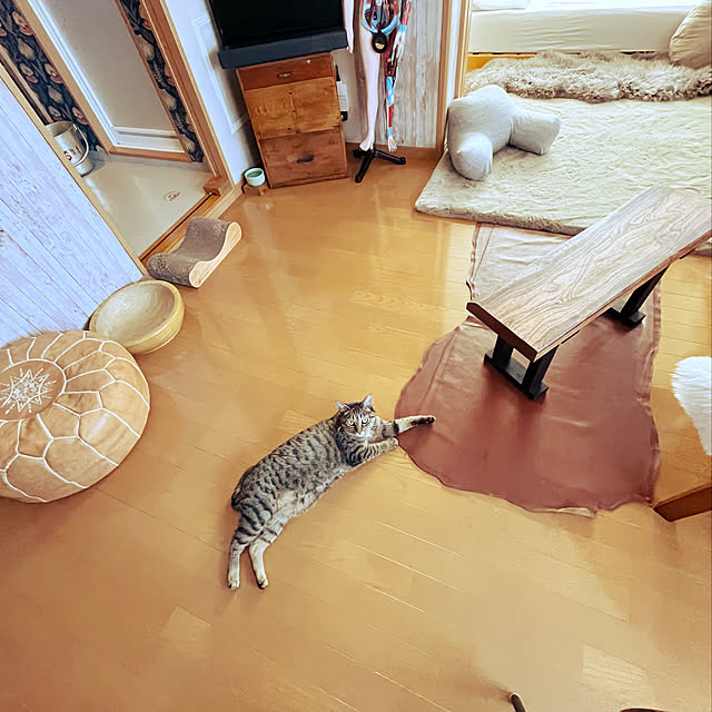 Mさんの実例写真