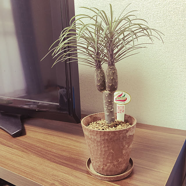 blueさんの部屋