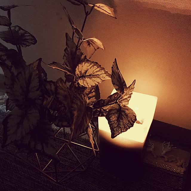 x..Qさんの実例写真