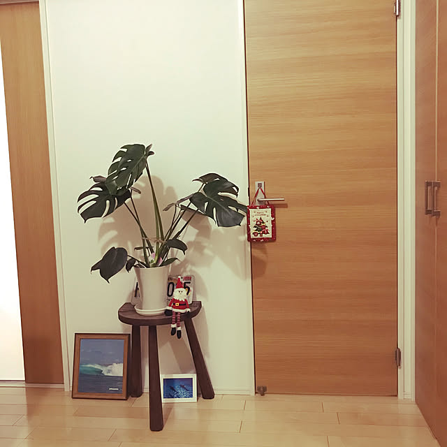 satominさんの実例写真
