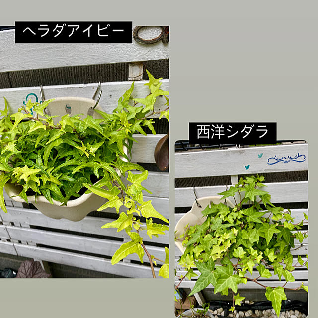 YuuKoさんの部屋
