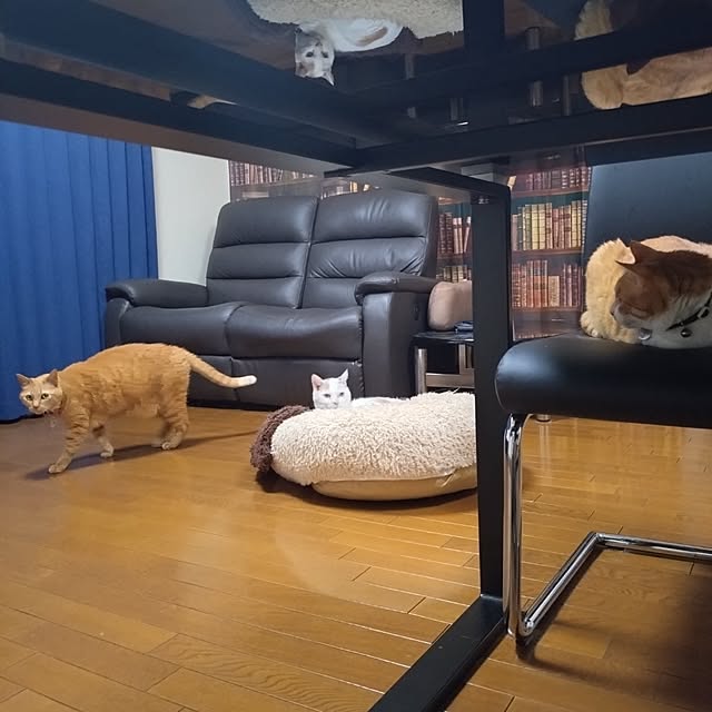 NOAHさんの部屋