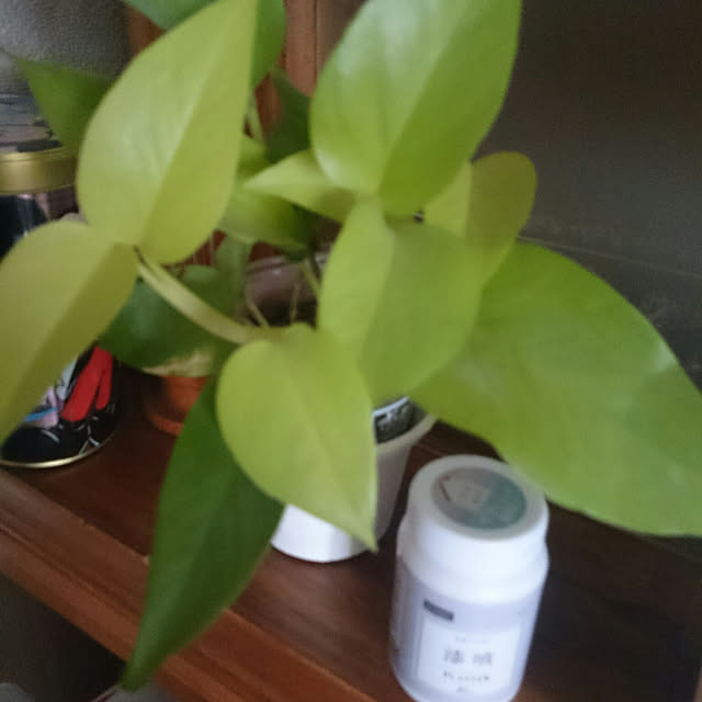 kazuさんの部屋