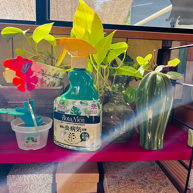 jijiさんの実例写真