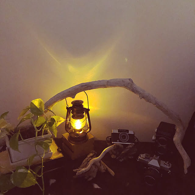 komachi55Nさんの実例写真