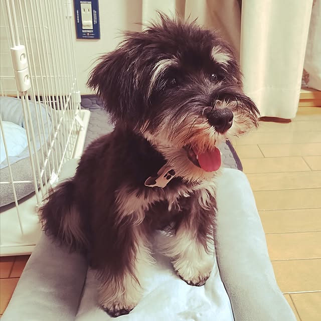 MrnlI800さんの実例写真